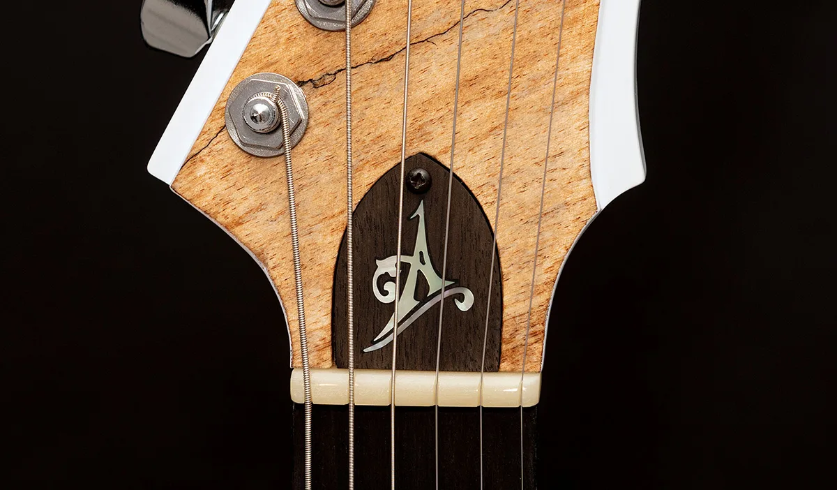 This is a custom guitar, built by a well-known luthier, Augustin Cristian Apostol (@ Avatar2100). Her name is The Evil