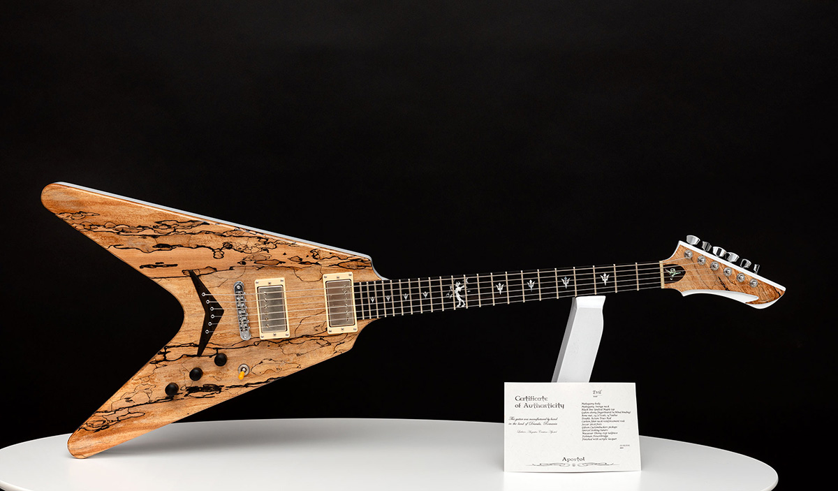 This is a custom guitar, built by a well-known luthier, Augustin Cristian Apostol (@ Avatar2100). Her name is The Evil