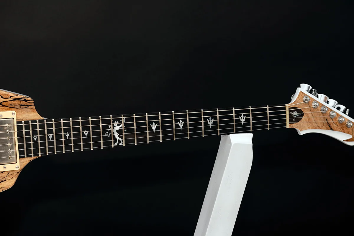 This is a custom guitar, built by a well-known luthier, Augustin Cristian Apostol (@ Avatar2100). Her name is The Evil