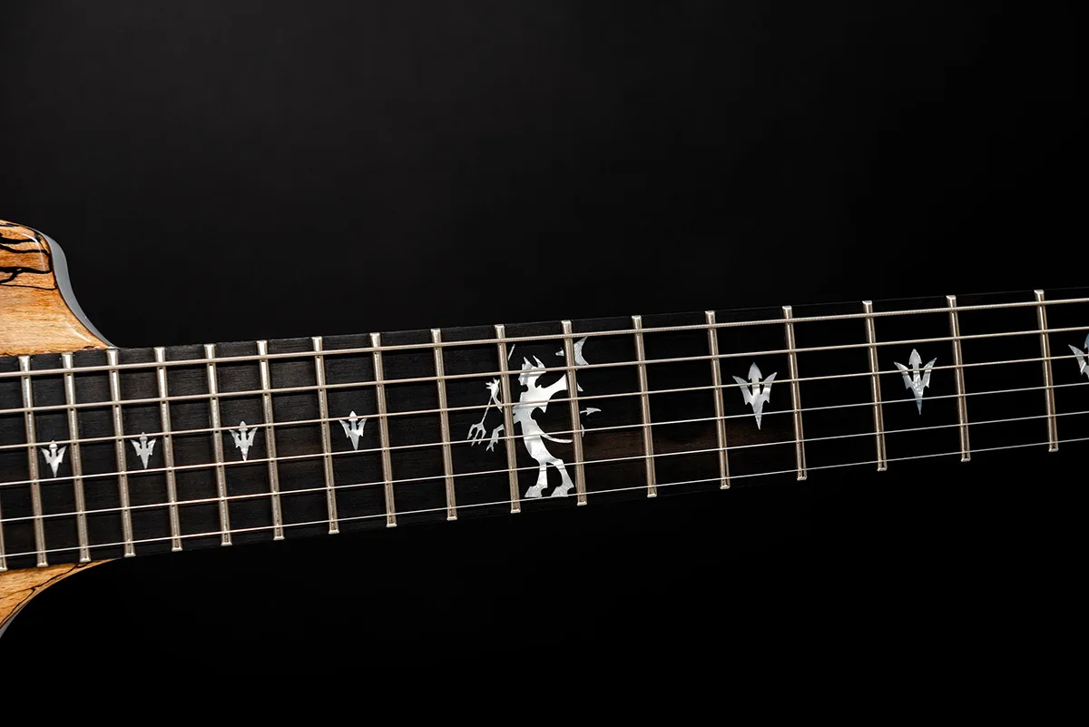 This is a custom guitar, built by a well-known luthier, Augustin Cristian Apostol (@ Avatar2100). Her name is The Evil