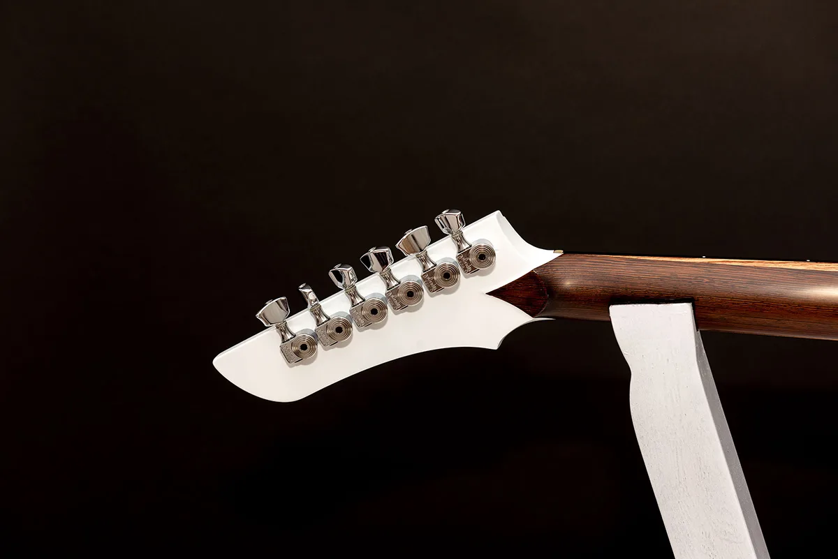 This is a custom guitar, built by a well-known luthier, Augustin Cristian Apostol (@ Avatar2100). Her name is The Evil