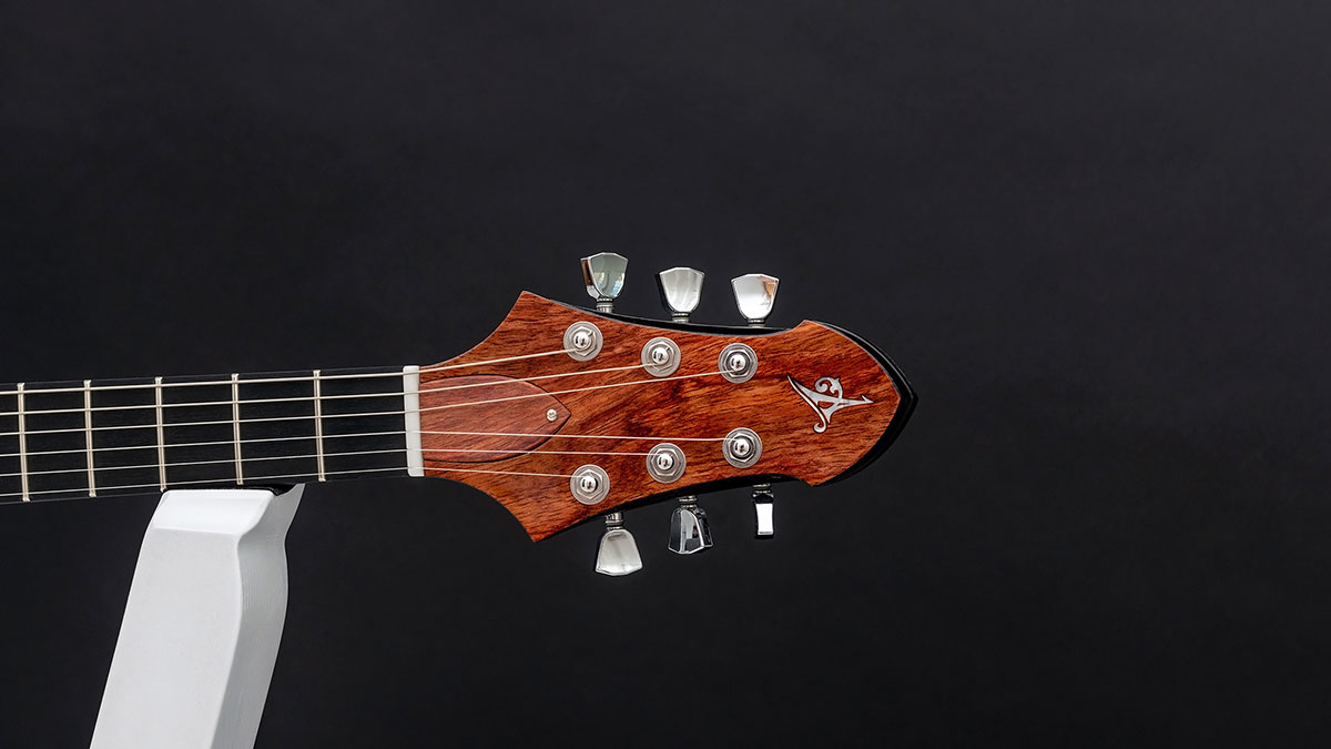 This is a custom guitar, built by a well-known luthier, Augustin Cristian Apostol (@ Avatar2100). Her name is The Serpent.