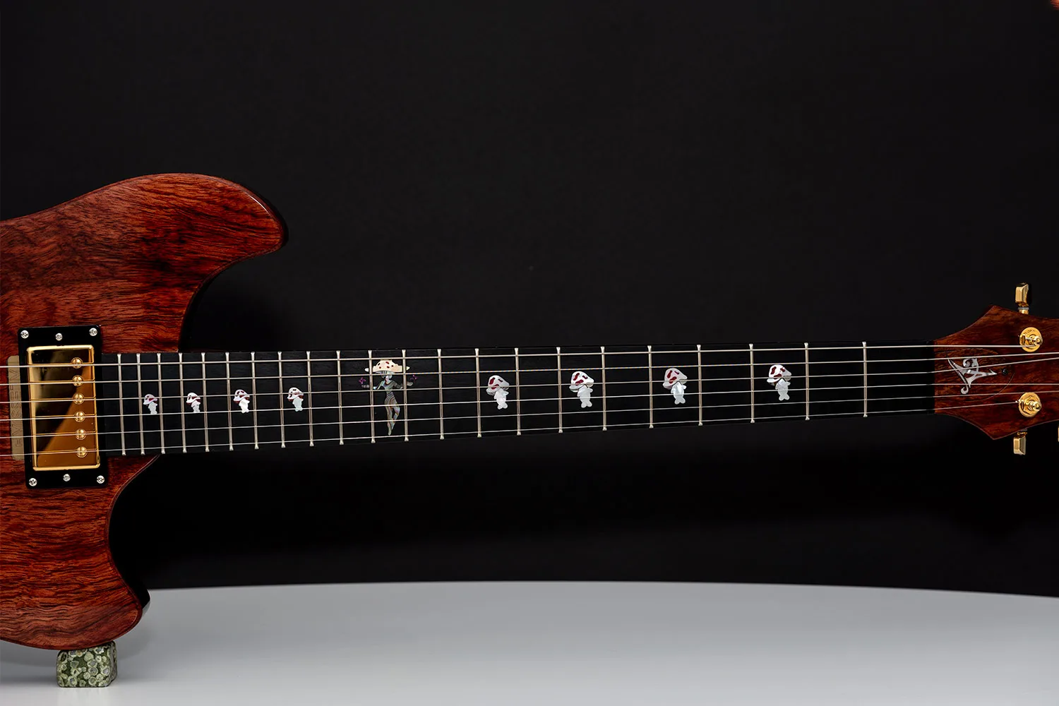 This guitar is called Mushy and was built by - Augustin is a luthier with over 15 years of experience, specializing in custom guitars