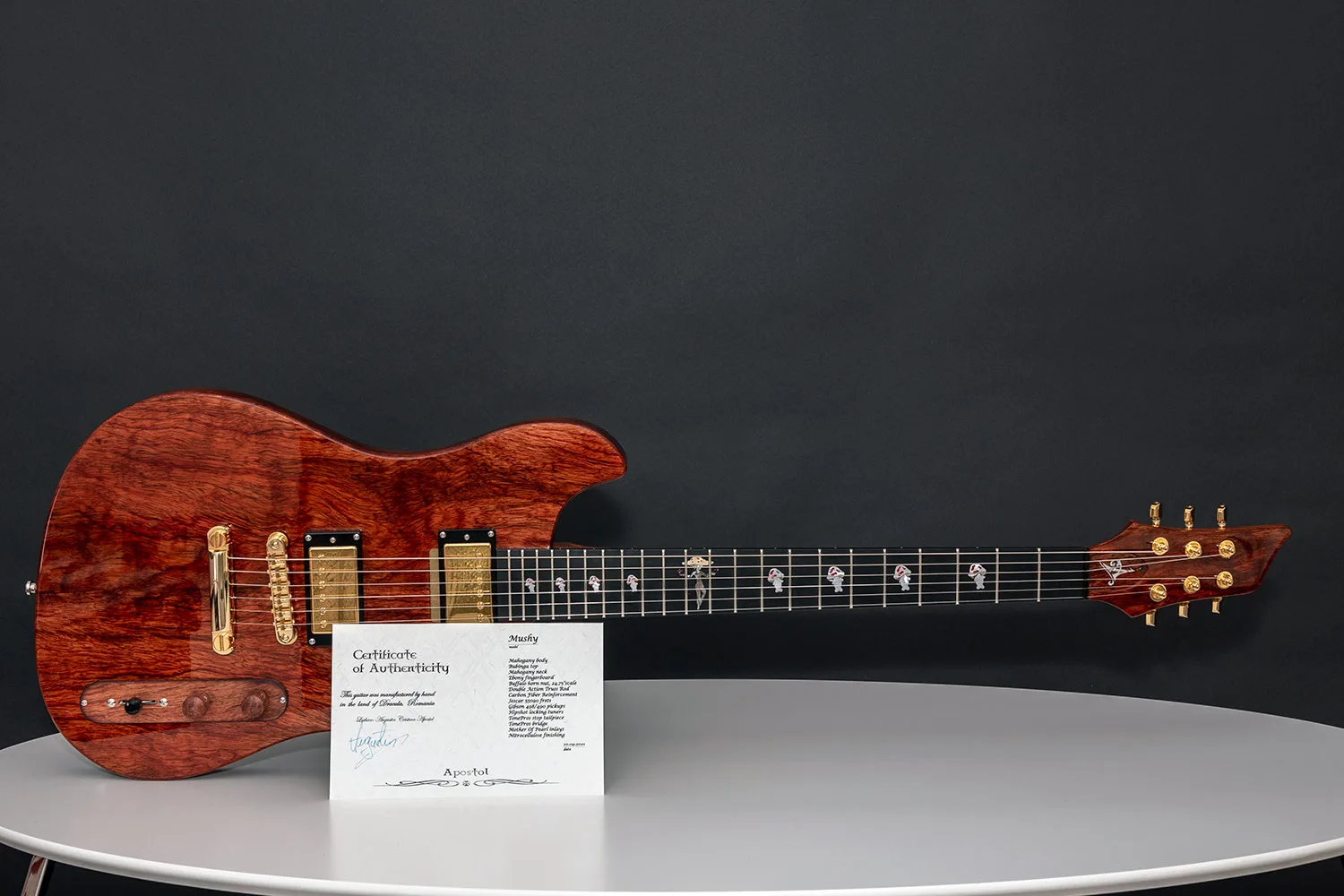 This guitar is called Mushy and was built by - Augustin is a luthier with over 15 years of experience, specializing in custom guitars