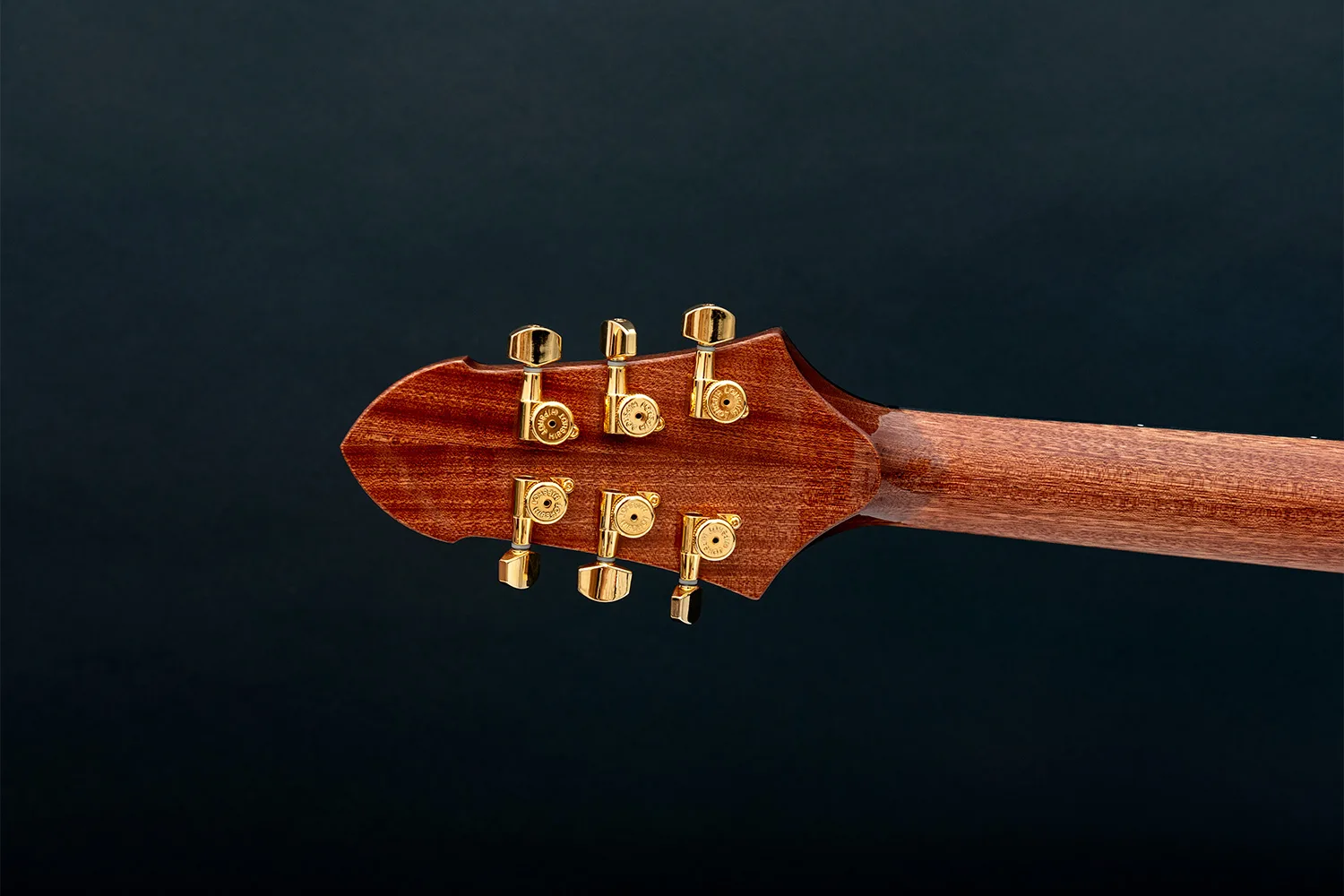 This is a custom guitar, built by a well-known luthier, Augustin Cristian Apostol (@ Avatar2100) for Kai Hansen.  Her name is Yggdrasil